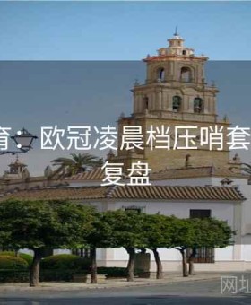 乐竞体育：欧冠凌晨档压哨套利·战术复盘