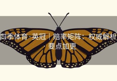 四季体育·英冠｜赔率矩阵：权威解析 · 要点加更