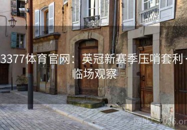 3377体育官网：英冠新赛季压哨套利·临场观察