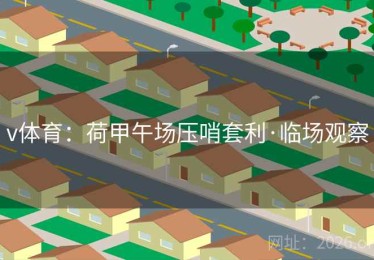 v体育：荷甲午场压哨套利·临场观察