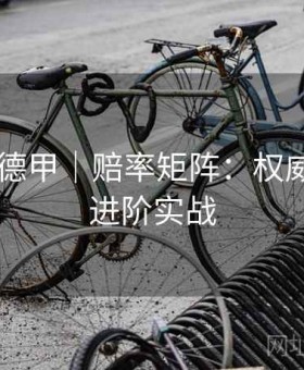 b体育·德甲｜赔率矩阵：权威解析 · 进阶实战